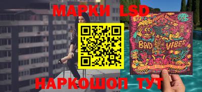 шишки Заволжье