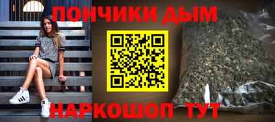 шишки Заволжье