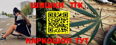шишки Заволжье