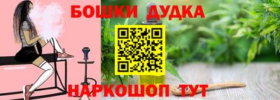 шишки Заволжье
