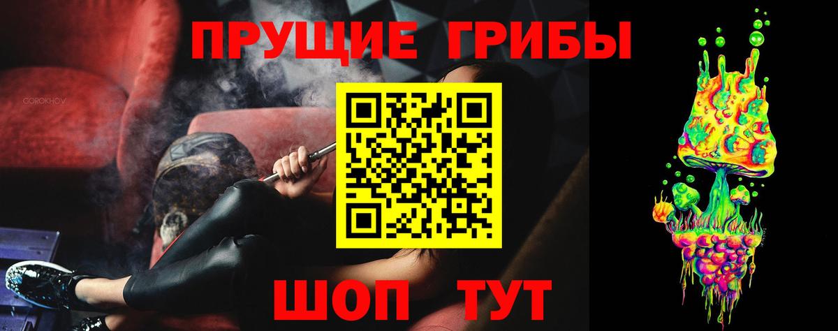 Луховицы  Галлюциногенные грибы Psilocybe  Вход с VPN 